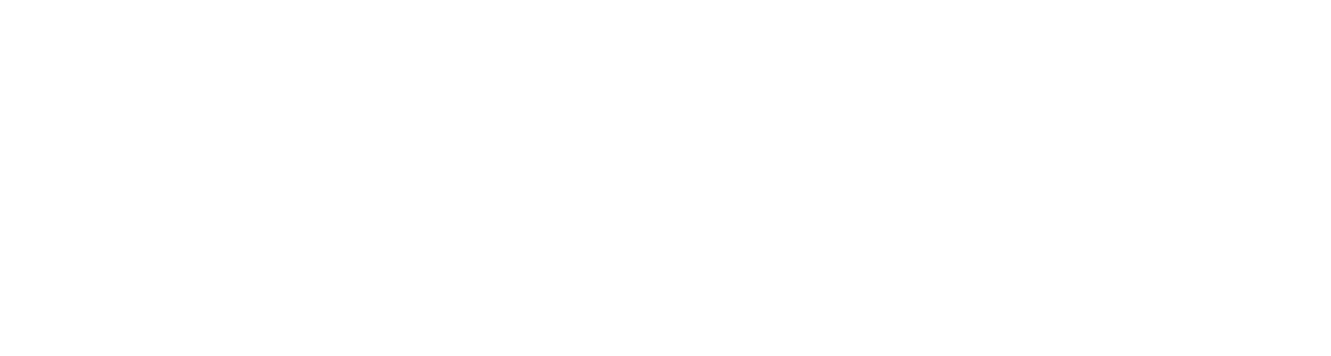 Visual Insights Outsource